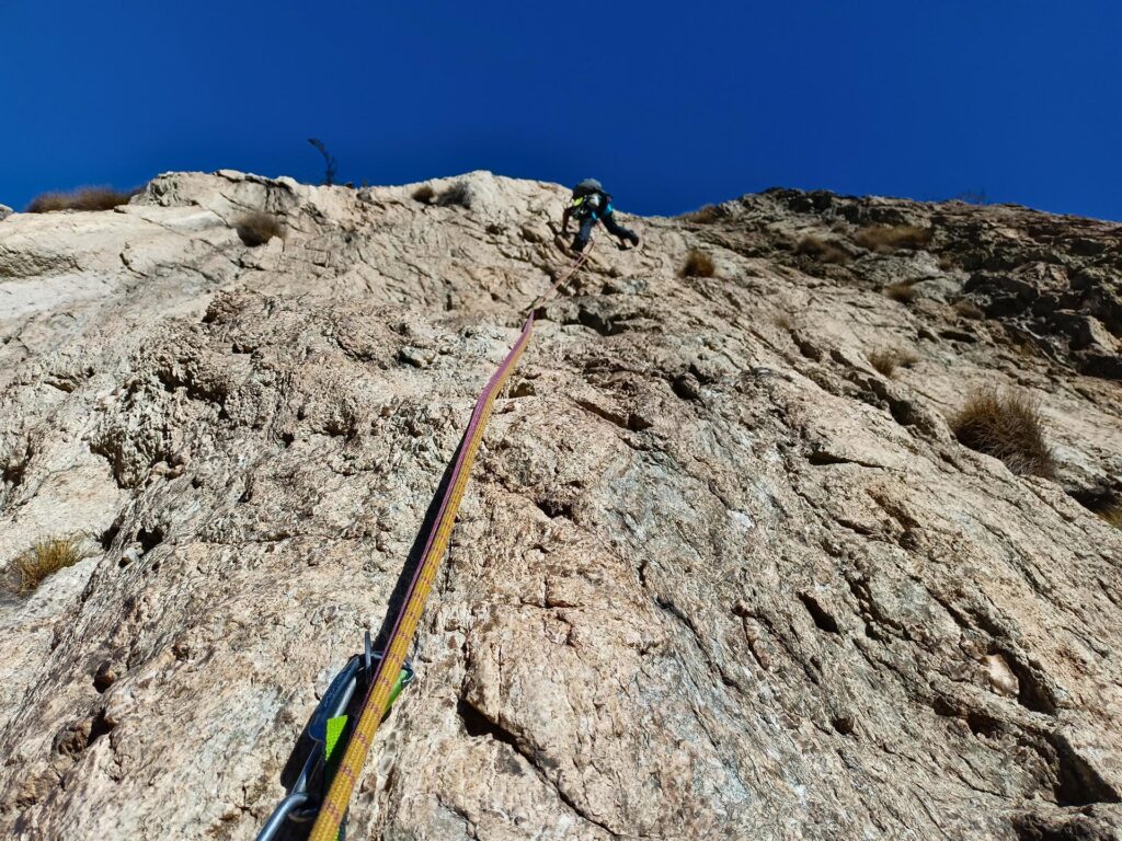 gneiss generosissimo