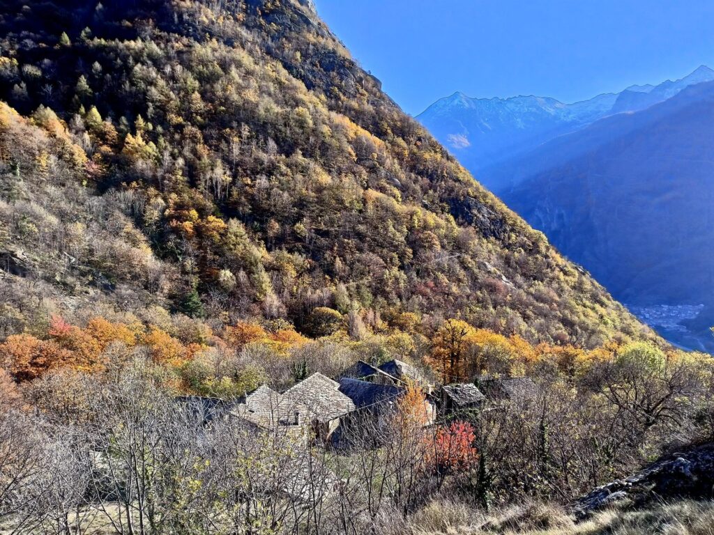 i tetti in pietra di Machaby fanno capolino in un bellissimo castagneto in livrea autunnale