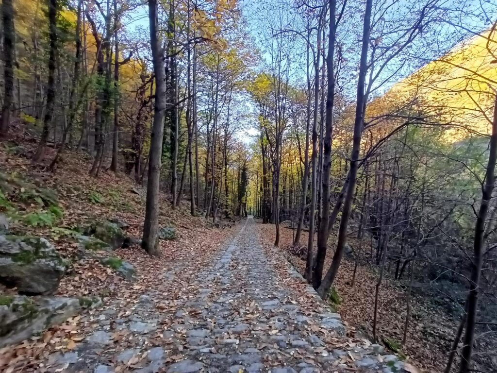 la mulattiera che riporta in valle, ormai in ombra