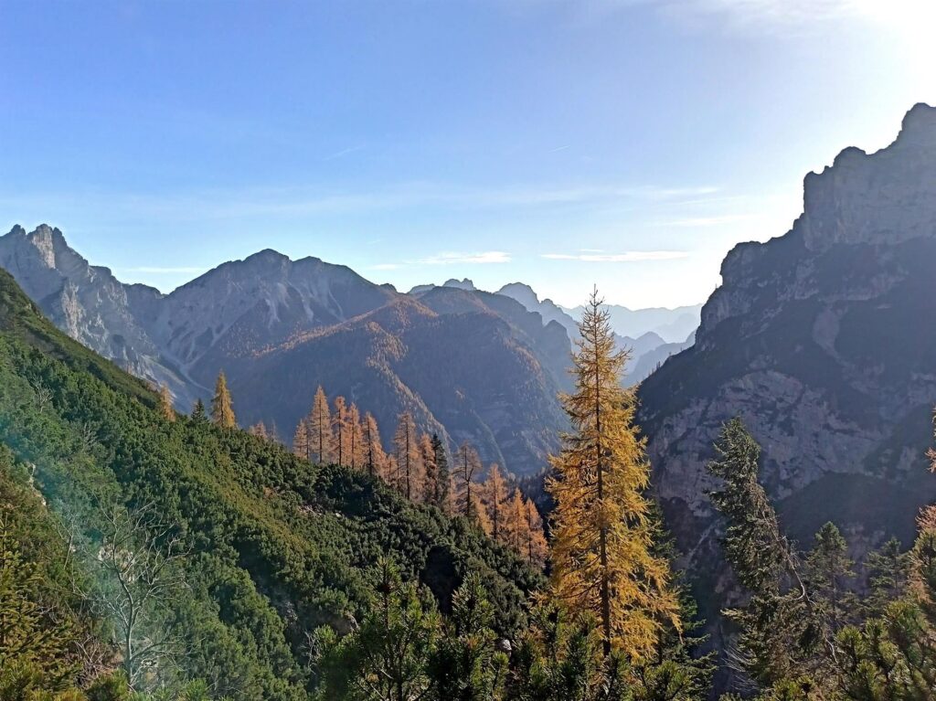 i bellissimi colori autunnali che stiamo per lasciarci alle spalle