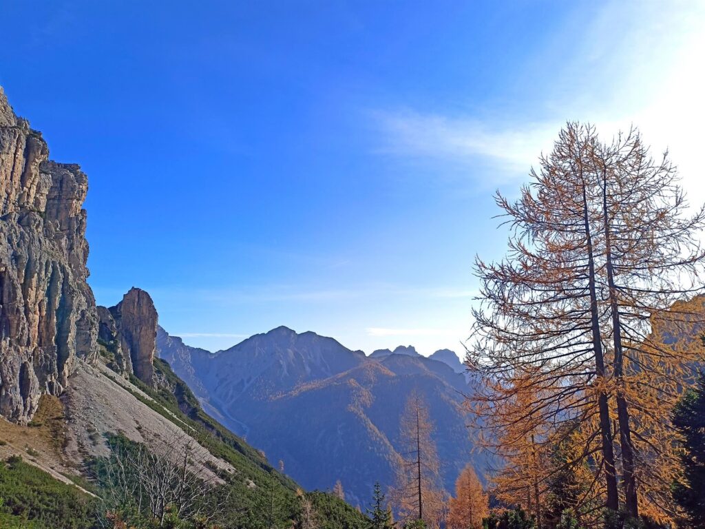 larici infuocati d'autunno