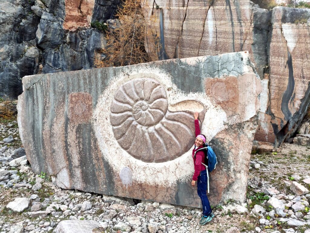 un ammonite gigante... questo è scolpito però ;) in giro si trovano anche i fossili veri