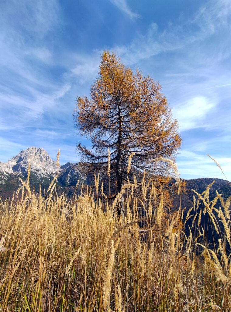 giochi di gialli e di arancioni lungo la strada