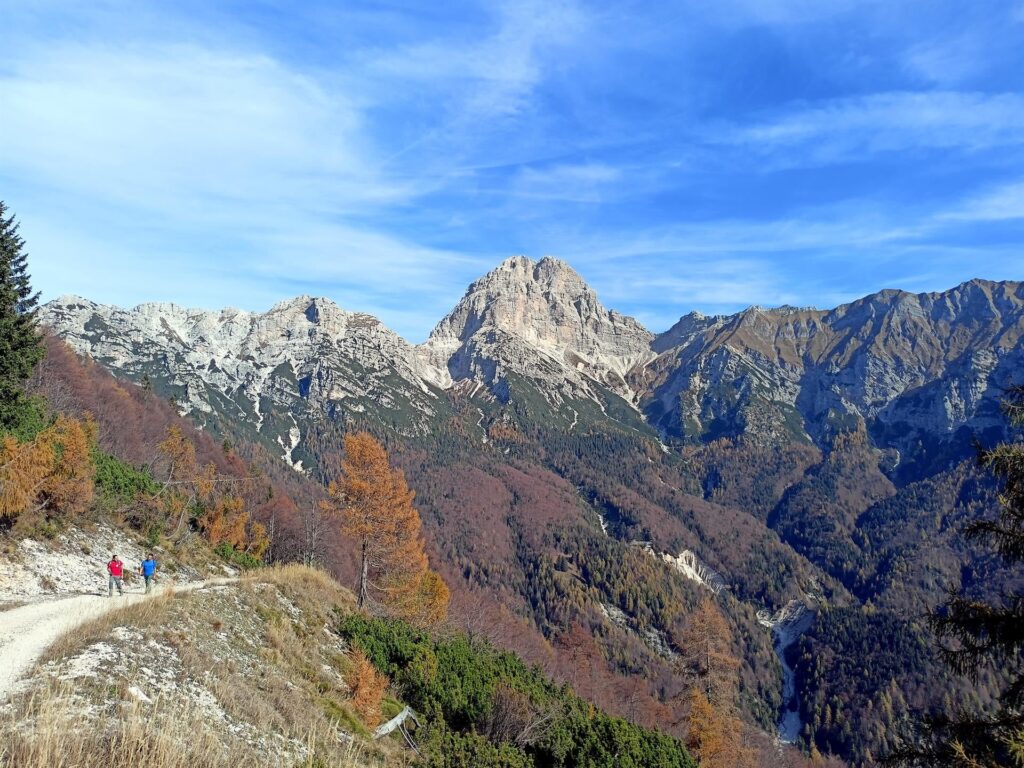 la strada che porta al rifugio Cava Buscada, comodissima, e sullo sfondo il Monte Duranno