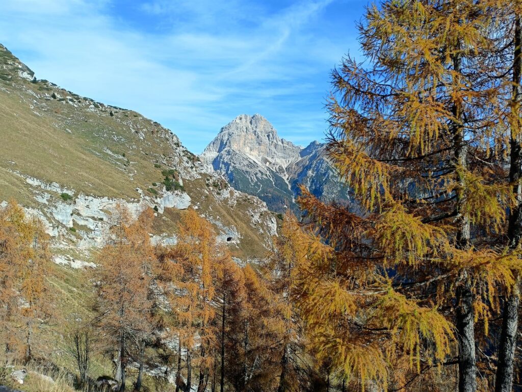 l'imponente mole del Duranno, la cima più alta della zona, con i larici infuocati