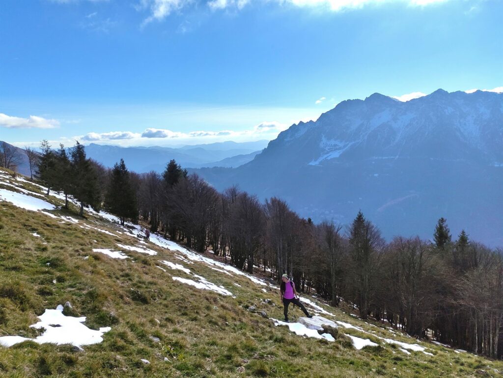 usciti dal limite del bosco si continua a salire per prati