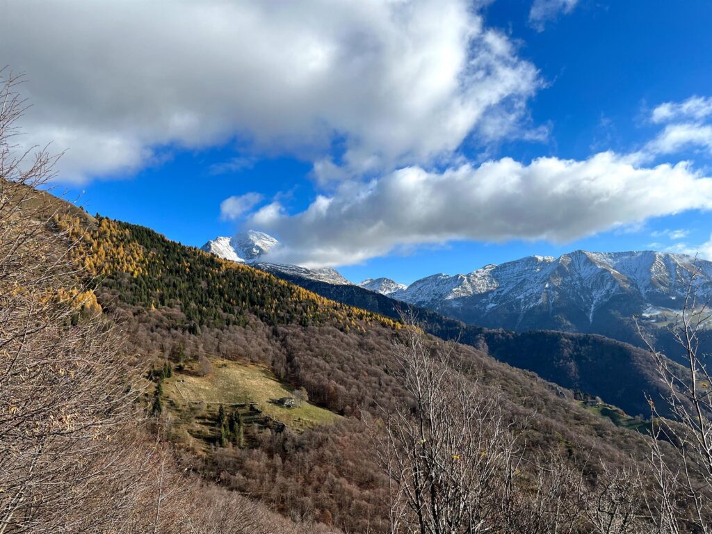 Il bel bosco colorato fa da sfondo al Pizzo Arera