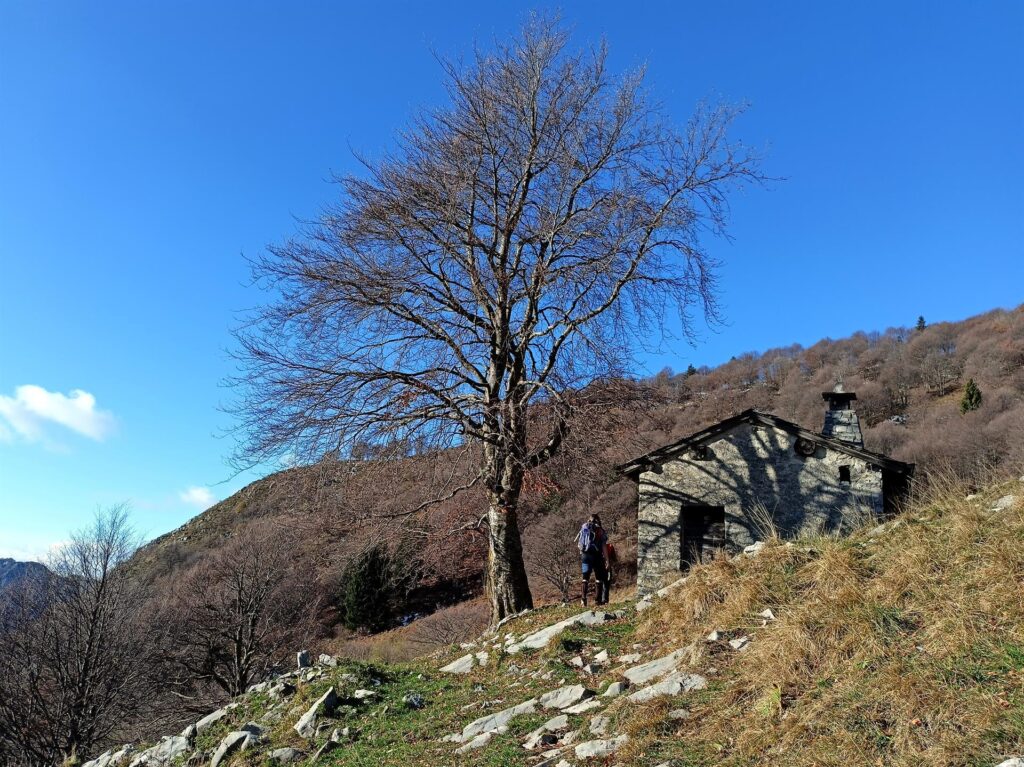 qui stiamo già seguendo una labile traccia da un po'... in corrispondenza di questa baita risaliremo il bosco dritto per dritto