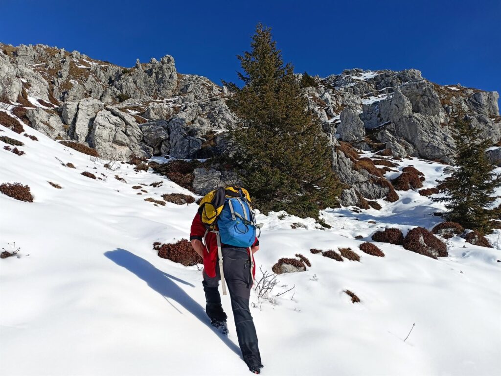 a caso sul versante sud della montagna: chiaramente non c'è traccia