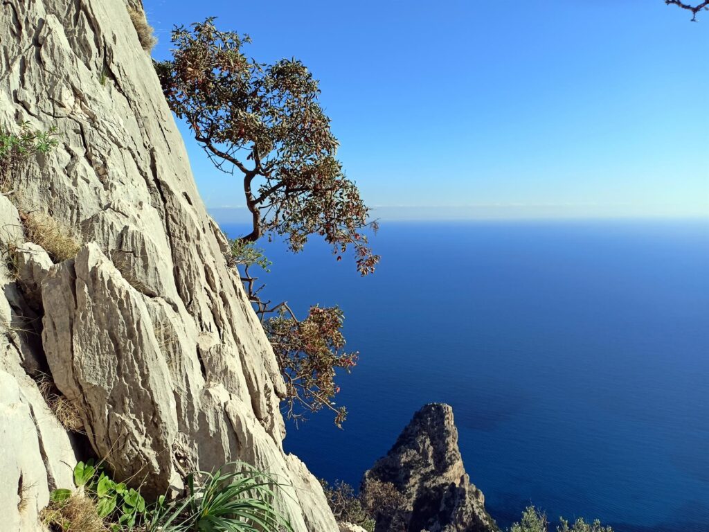 bella visuale sulla Pedra Longa e sull'intenso blu del mare