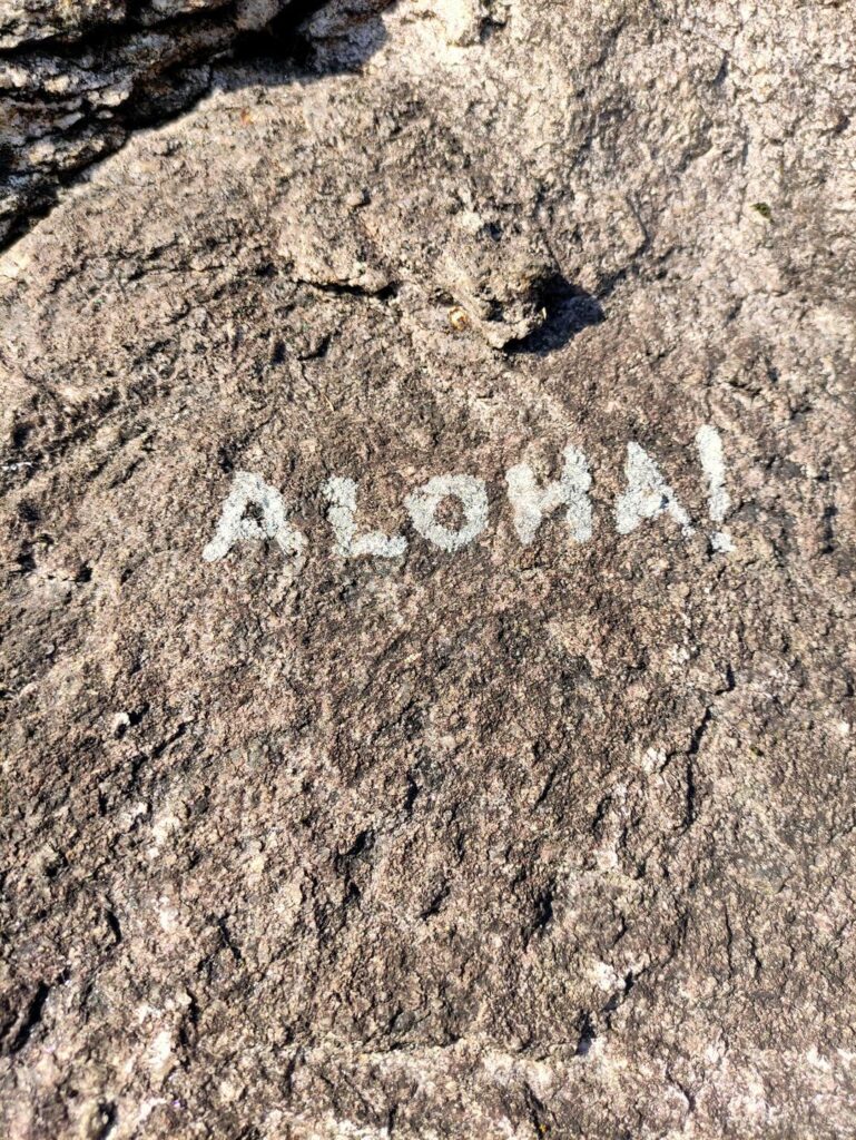 Per non fare il sentiero ci buttiamo sul settore poco a monte salendo un tiro a caso (Aloha, 4b)