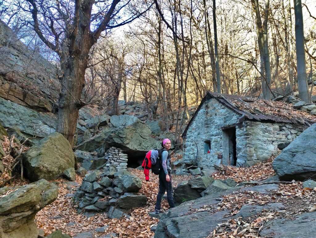 l'incantevole e incantato bosco sotto le pareti