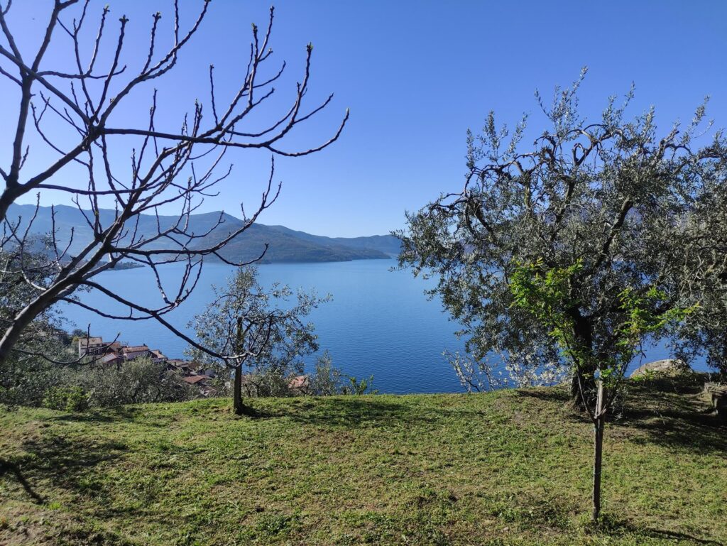 All'inizio del sentiero si passa dietro a delle belle proprietà vista lago