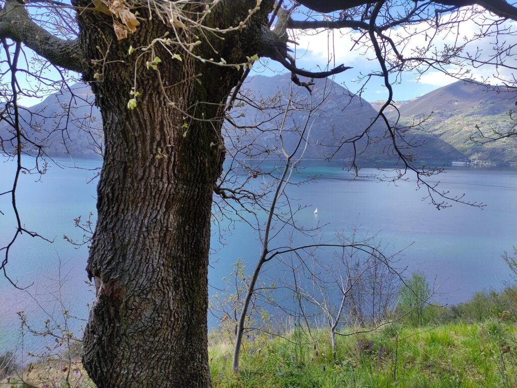 Barchetta sul lago da un punto panoramico