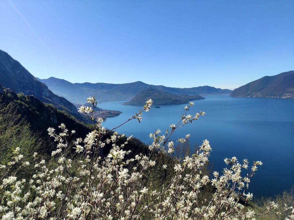 Montisola vista dal sentiero