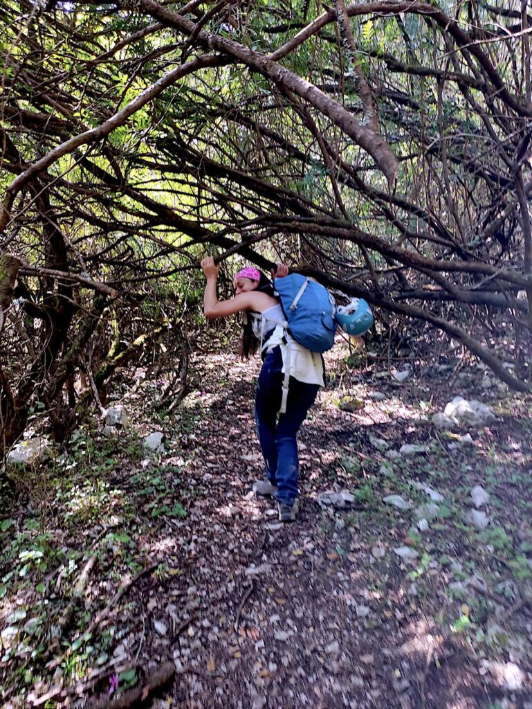 Ci addentriamo nel bosco del Bacu Arala. La vegetazione è bassa già per noi nani....