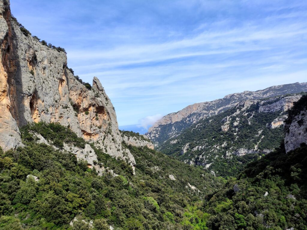 Vista dalla vetta in direzione di Cala Sisine