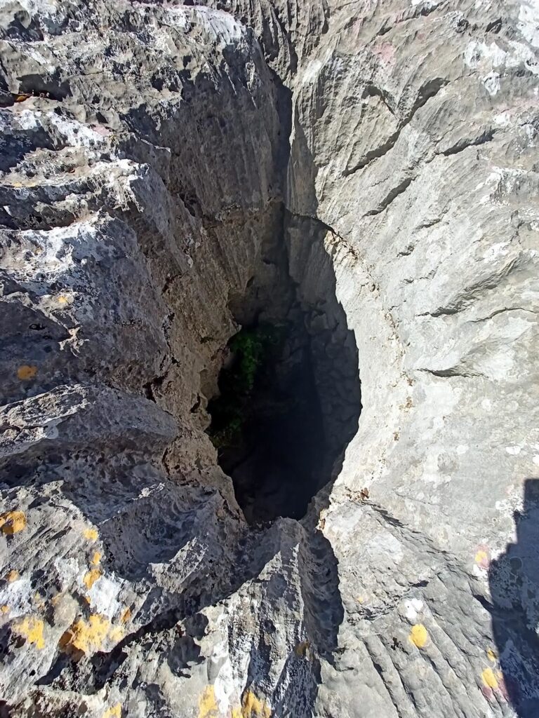 buche su buche scavate nel calcare, ma la maggior parte non contiene nulla, se non vegetazione
