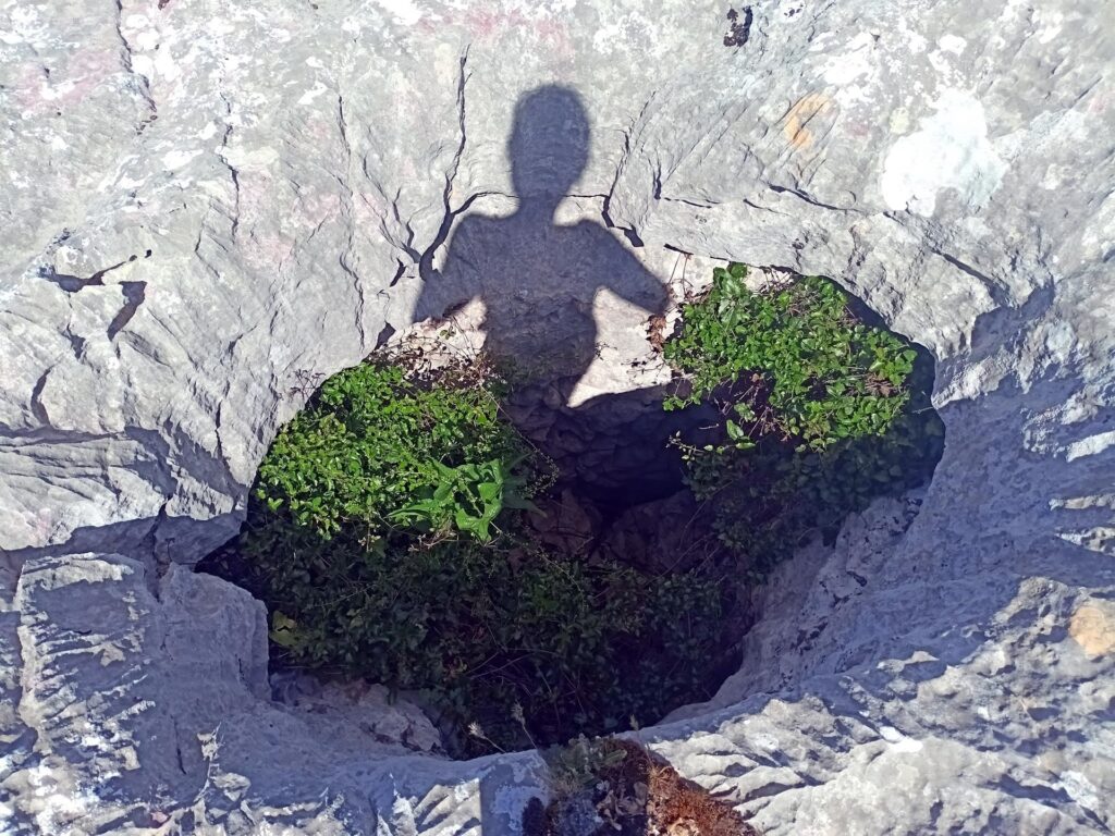 e dove non c&#039;è più acqua, grazie all&#039;umidità, qualcosa cresce