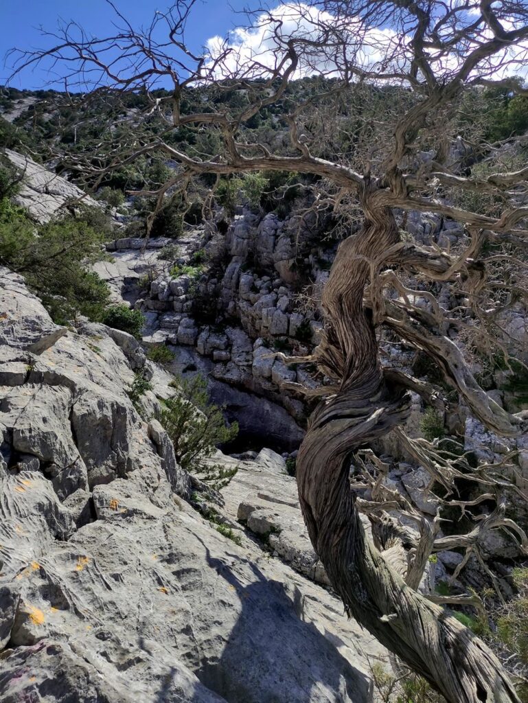 bellissime gole calcaree solcano l&#039;altopiano