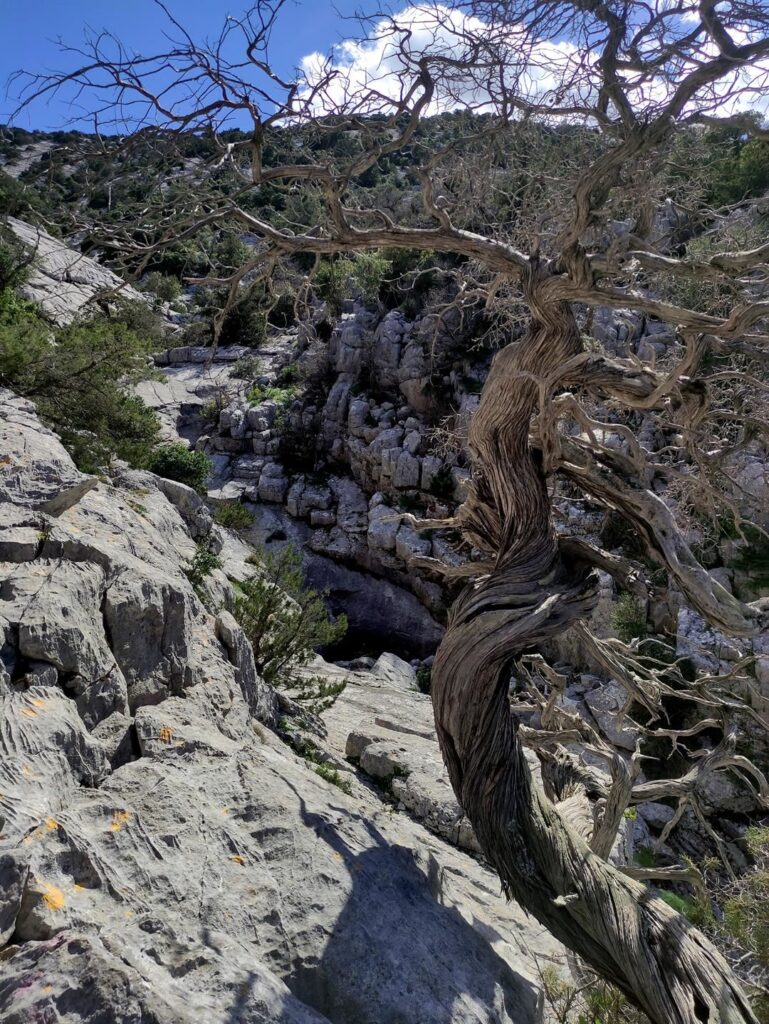 bellissime gole calcaree solcano l'altopiano