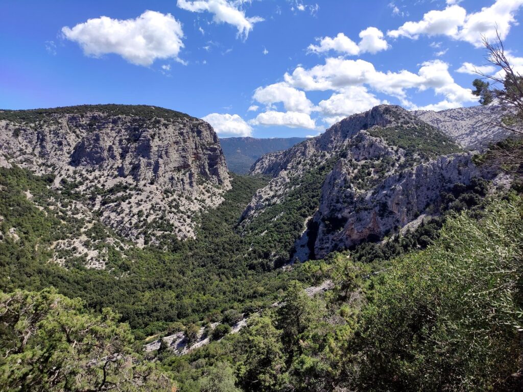 Guardando verso il cammino appena percorso: la Valle di Surtana, con a sinistra le pareti di Surtana stessa e a destra l&#039;Oddeu