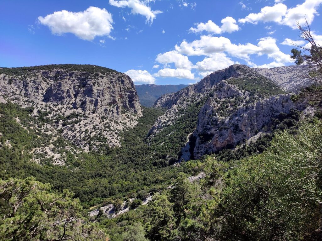 Guardando verso il cammino appena percorso: la Valle di Surtana, con a sinistra le pareti di Surtana stessa e a destra l'Oddeu