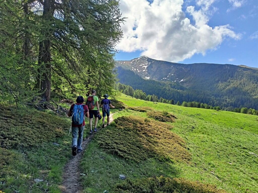 si parte, attraversando boschetti e alpeggi