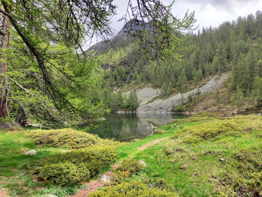 altro laghetto e vegetazione lussurreggiante