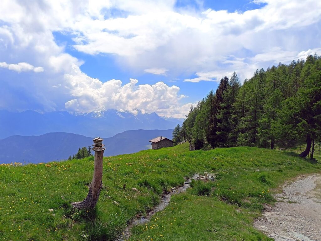 nei pressi della panchina gigante (che non fotografiamo per principio... la montagna è bella già così, no?)