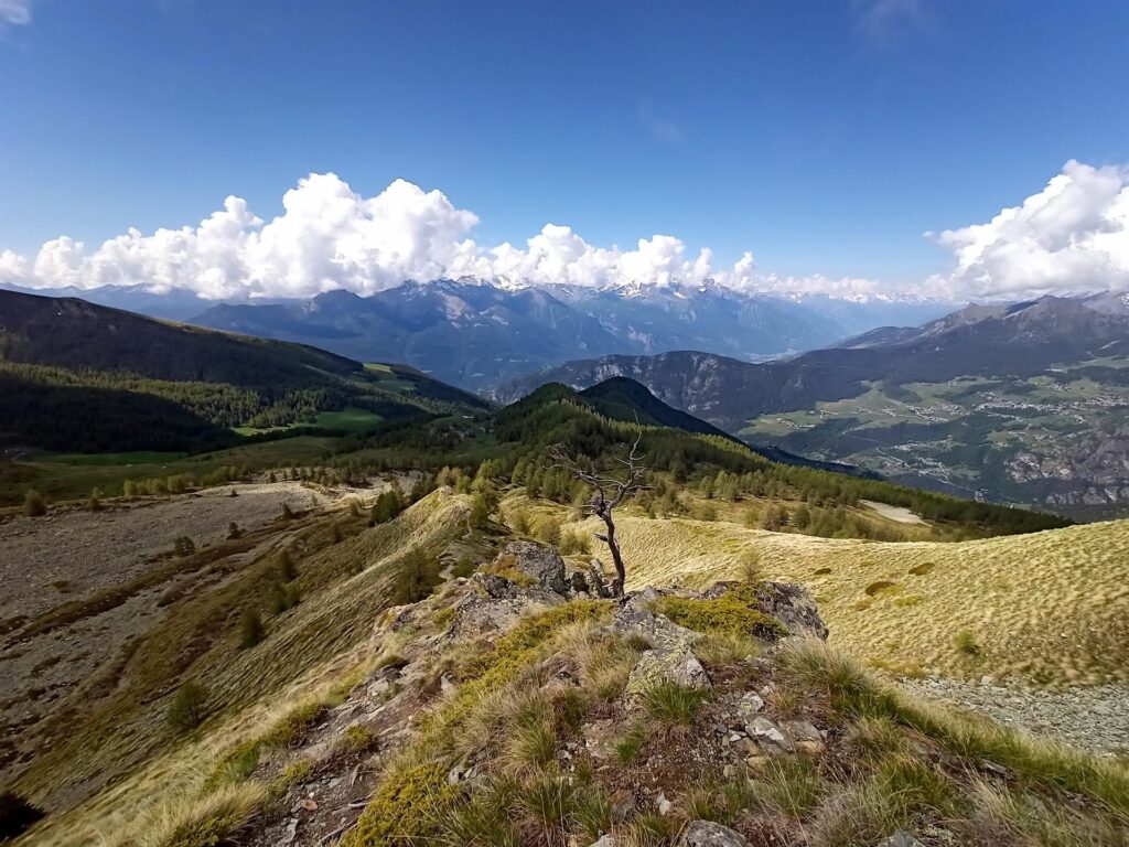 si risale la cresta, lasciando via via la vegetazione alle spalle