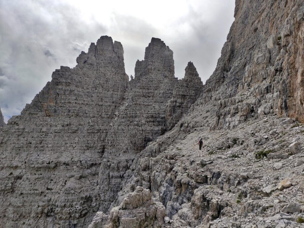 Erica solitaria sulla cengia del versante est con gli Sfulmini sullo sfondo