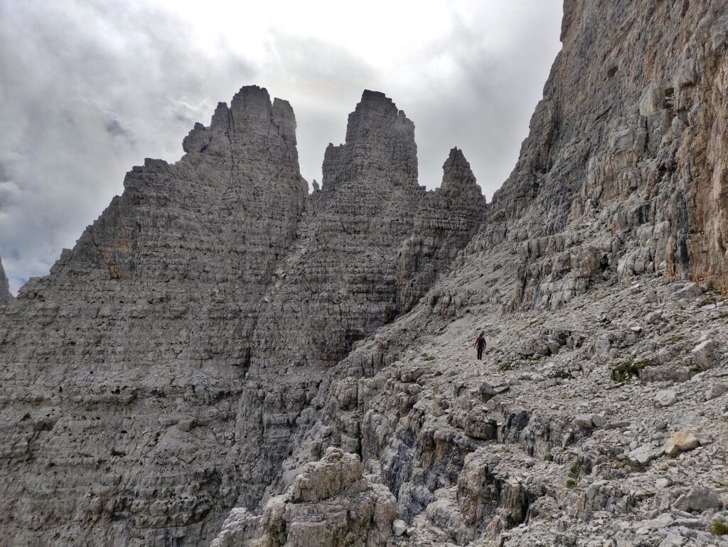 Erica solitaria sulla cengia del versante est con gli Sfulmini sullo sfondo