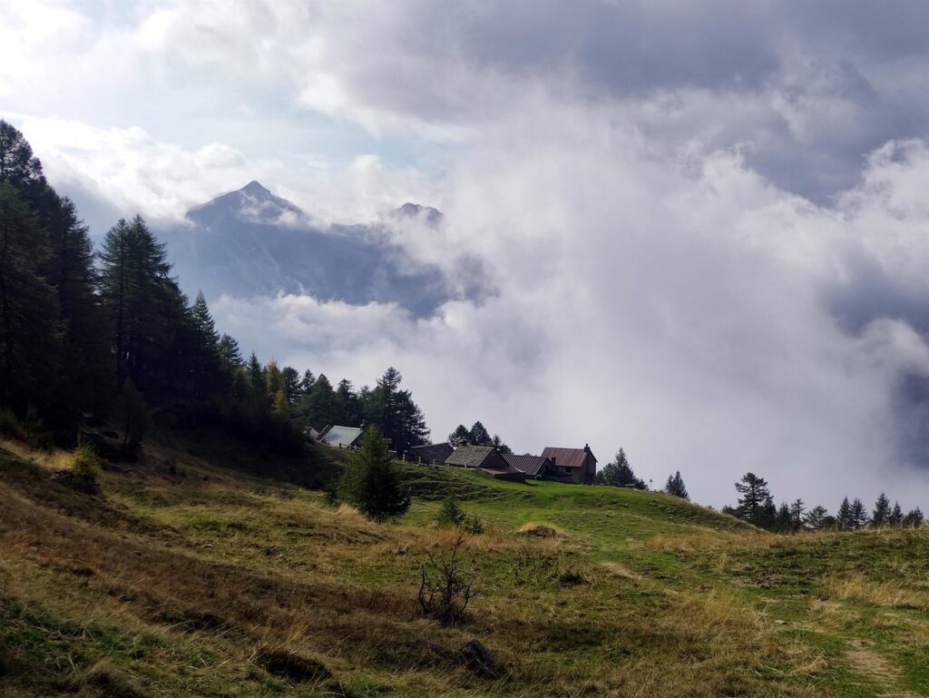 paesaggi autunnali e silenzio