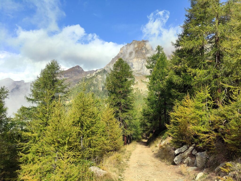 la Valle del Pizzo del Balzo (crediamo)