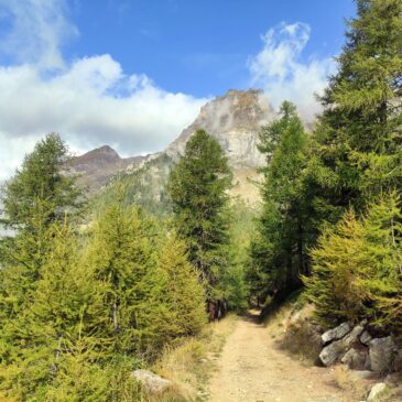 Rifugio Crosta da San Domenico: passeggiata d’autunno