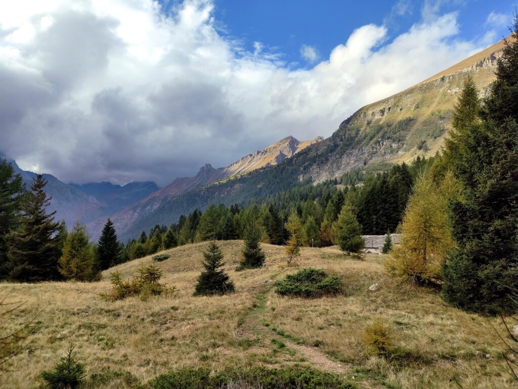 ancora i bellissimi pratoni dove i primi larici, in quota, cominciano a colorarsi