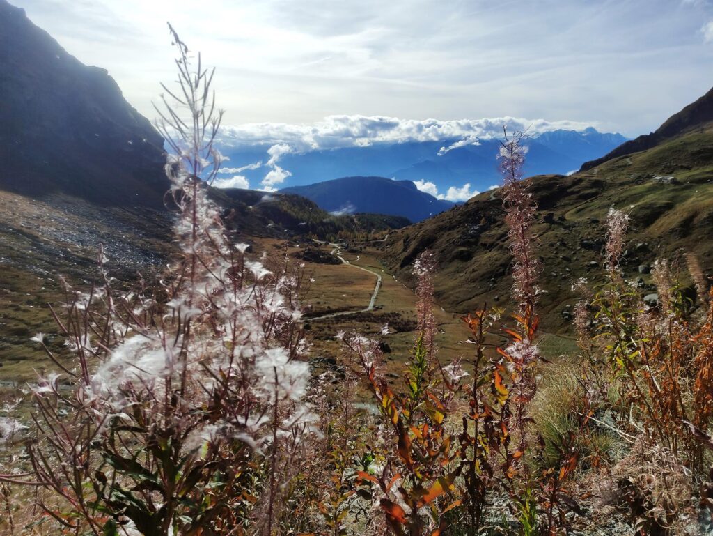 La vallata sotto al rifugio Arp