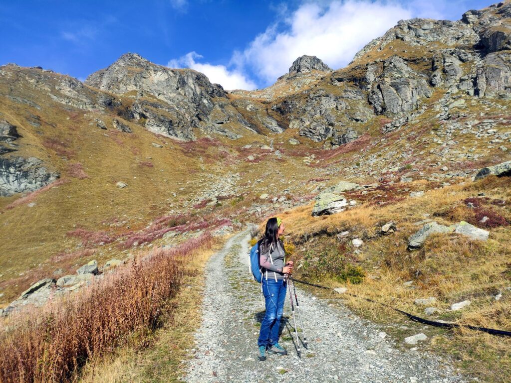 La vallata sotto al rifugio Arp