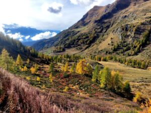Un piccolo paradiso
