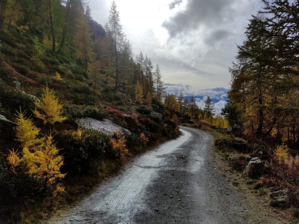 La nostra strada di discesa che passa in mezzo ai colori più disparati