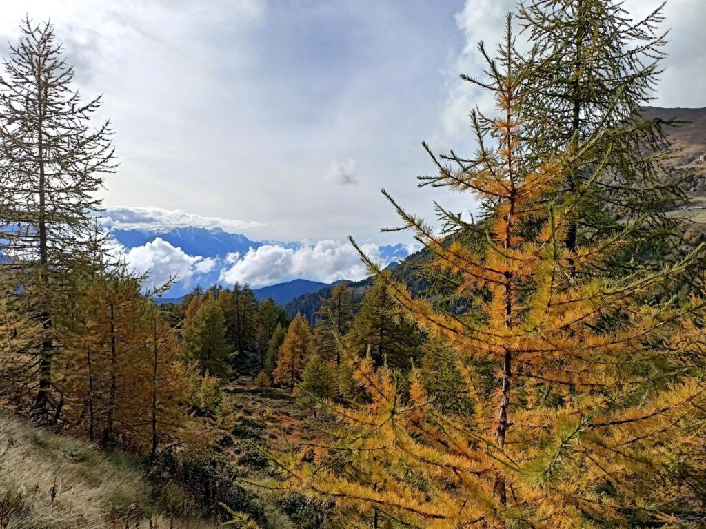 Ancora un po&#039; di colori