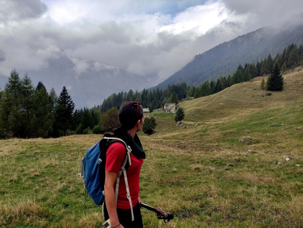 alpeggi si alternano a bei boschi, in giro - sarà per la giornata un po' così - non c'è nessuno