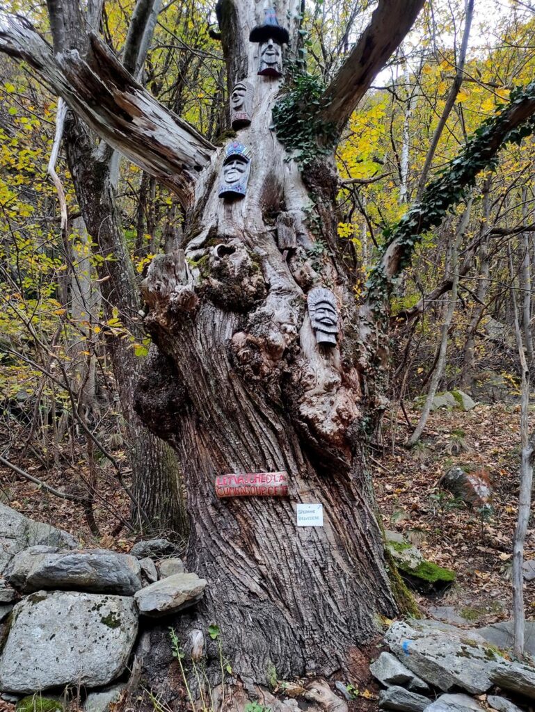 il castagno arrivati al quale si entra nel bosco: non si può sbagliare