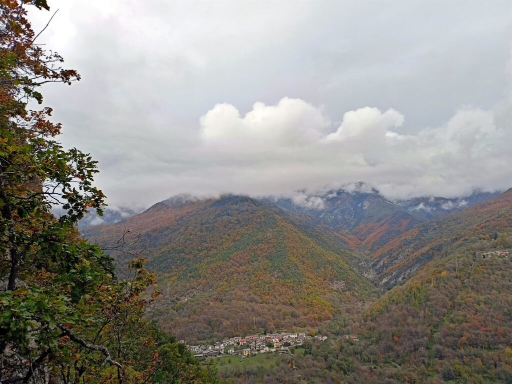 bellissimi i boschi della Val Chisone: per noi è tutto nuovo, mai visto