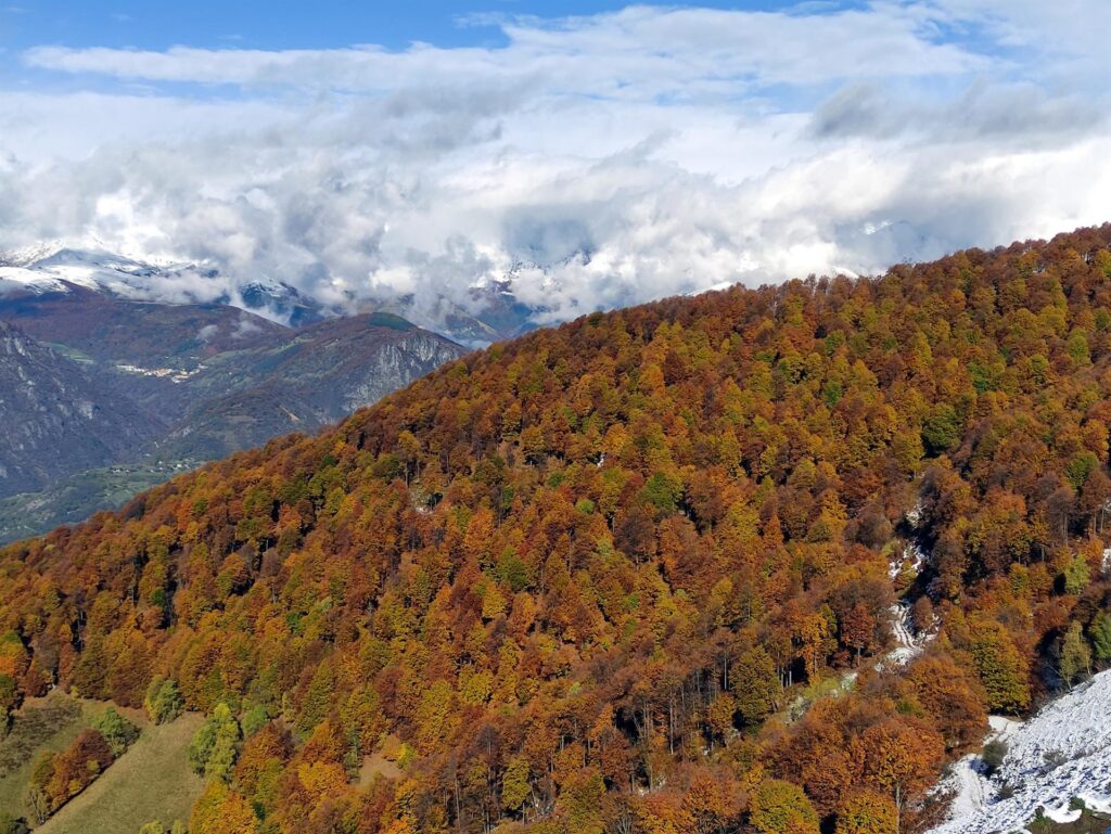 beh va beh... dobbiamo dire qualcosa?