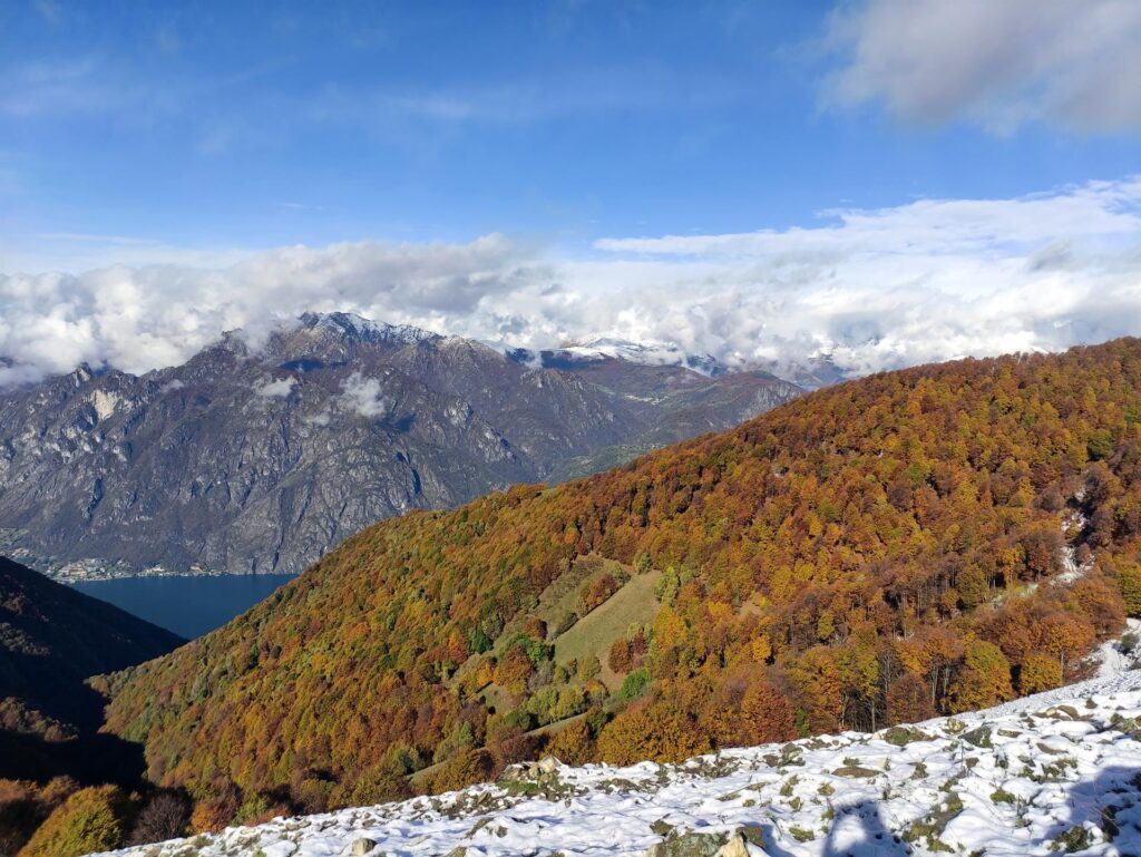 oggi va così: è tutto stramaledettamente bello