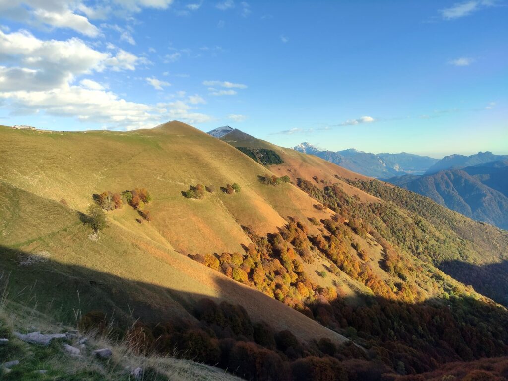 i morbidi colori del meriggio