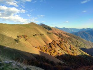 i morbidi colori del meriggio