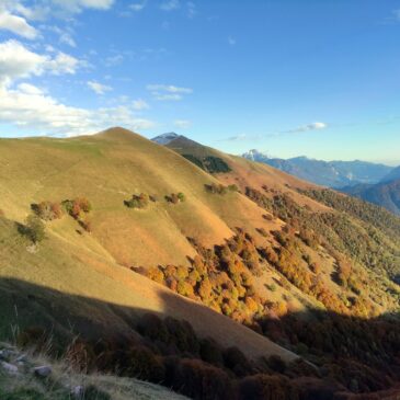 Dal Monte di Lenno al Crocione: giro delle creste vista laghi